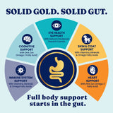 Solid Gold Bone Broth with Turmeric Dog Food Topper,16 oz., 2 pk.