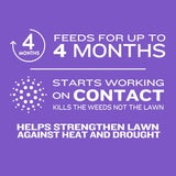 Member's Mark Southern Weed & Feed 12M
