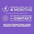 Member's Mark Southern Weed & Feed 12M