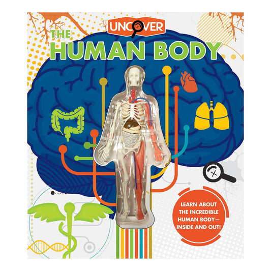 Uncover the Human Body, Hardcover