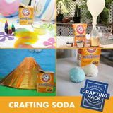 Arm &amp; Hammer Pure Baking Soda, 13.5 lbs.