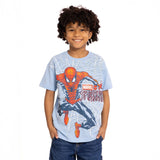 Boy's Character Tees