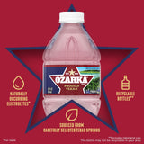 Ozarka 100% Natural Spring Water 16.9 fl. oz., 40 pk.