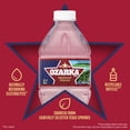 Ozarka 100% Natural Spring Water 16.9 fl. oz., 40 pk.
