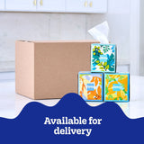 Kleenex Lotion Facial Tissues 12 boxes, 120 tissues/box
