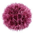 Member's Mark Spider Mums, choose color and stem count