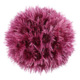 Member's Mark Spider Mums, choose color and stem count