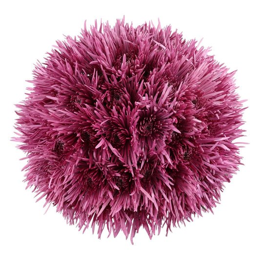 Member's Mark Spider Mums, choose color and stem count