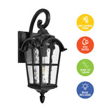 Cedar Hill 17" Outdoor Wall Lantern with Dusk-to-Dawn Photocell