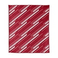Logo Brands Arkansas Razorbacks 60"x70" Super Plush Blanket