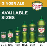 Canada Dry Ginger Ale Soda 12 fl. oz., 24 pk.