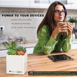 Tech Squared Power Bloom Charging Decorative Plant with Built-in retractable USB-C cable