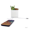 Tech Squared Power Bloom Charging Decorative Plant with Built-in retractable USB-C cable