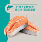 Member's Mark Grain Free Salmon and Sweet Potato Dry Dog Food, 30 lbs