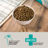 Member's Mark Grain Free Salmon and Sweet Potato Dry Dog Food, 30 lbs