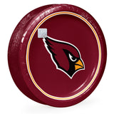 NFL Round Paper Plates, 10", 85 ct., Choose Your Team