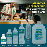 Zephyrhills 100% Natural Spring Water 8 fl. oz., 48 pk.