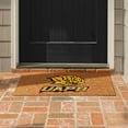 Logo Brands Arkansas-Pine Bluff Golden Lions Doormat