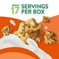 Kashi GO Peanut Butter Cereal, 33.8 oz.