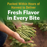 Del Monte Fancy Cut Green Beans, 101 oz.