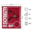 Logo Brands Arkansas Razorbacks 60"x70" Super Plush Blanket