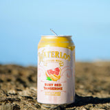 Waterloo Sparkling Water Variety Pack 12 fl. oz., 24 pk.