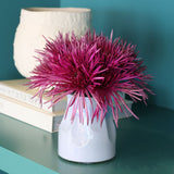 Member's Mark Spider Mums, choose color and stem count