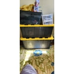 Member's Mark 40 Gallon Heavy-Duty Black and Yellow Storage Tote, 22.0" D x 38.2" W x 16.4" H, 1 pack or 2 pack
