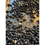Member's Mark Black Beans 12 lbs.