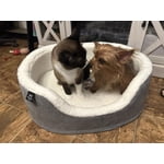 Member's Mark Cozy Cuddler Pet Bed, Choose Size and Color