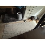 Member's Mark Everwash Washable 2-Piece Runner and Accent Rug Set, Assorted Designs