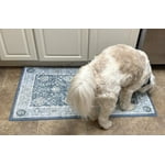 Member's Mark Everwash Washable Accent Rug, 2'x 3'7", Assorted Colors