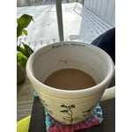 Zavida Coffee Whole Bean Coffee, Hazelnut Vanilla, 32 oz.
