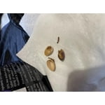 Wonderful Roasted &amp; Salted Pistachios, 48 oz.