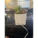 Tech Squared Power Bloom Charging Decorative Plant with Built-in retractable USB-C cable