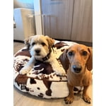 Member's Mark Round Pet Bed, Choose Size and Color