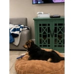 Member's Mark Round Pet Bed, Choose Size and Color