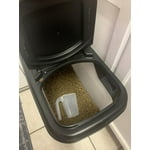 Buddeez Food Storage and Dispenser, Black, 32 qt.