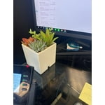 Tech Squared Power Bloom Charging Decorative Plant with Built-in retractable USB-C cable
