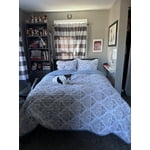 Member's Mark Microfiber Printed Quilt Sets, Assorted Sizes