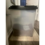 Buddeez Food Storage and Dispenser, Black, 32 qt.