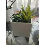 Tech Squared Power Bloom Charging Decorative Plant with Built-in retractable USB-C cable