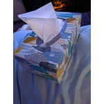 Member’s Mark Soft & Strong 2-Ply Premium Facial Tissues 12 Flat Boxes, 160 tissues/box
