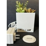 Tech Squared Power Bloom Charging Decorative Plant with Built-in retractable USB-C cable