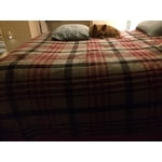 Member's Mark Plush Blanket, 109" x 90"