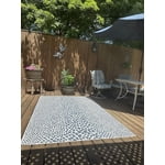 Jill Zarin Cape Town Outdoor Rug