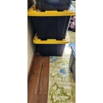 Member's Mark 40 Gallon Heavy-Duty Black and Yellow Storage Tote, 22.0" D x 38.2" W x 16.4" H, 1 pack or 2 pack