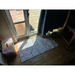 Member's Mark Everwash Washable Accent Rug, 2'x 3'7", Assorted Colors