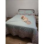 Vera Bradley 3-Piece Quilt Set, Assorted Sizes