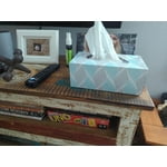 Member’s Mark Soft & Strong 2-Ply Premium Facial Tissues 12 Flat Boxes, 160 tissues/box